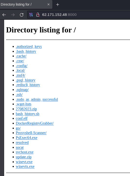 Содержимое обнаруженной директории