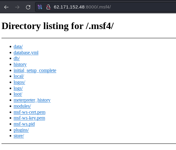 Содержимое директории .msf4